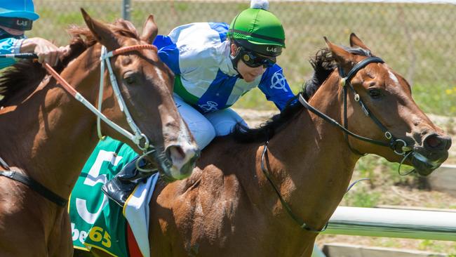 Michelle Payne said Stevie will learn a lot after fading to finish at the tail of the feidl on his debut at Kilmore. Picture: Jay Town