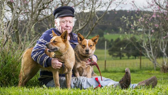 Herbert Bettels, 80, at home in Springflied with his dogs Red and Blue who were dramatically rescued from floodwaters yesterday. Picture: Eugene Hyland