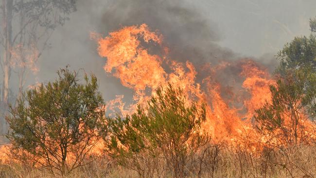 A bushfire burning on Long Gully Road in the northern NSW town of Drake. Picture: AAP