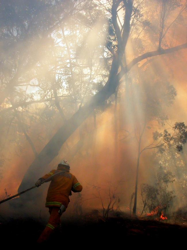 Firefighters have been kept busy across the Northern Rivers. Picture: Dean Symons.