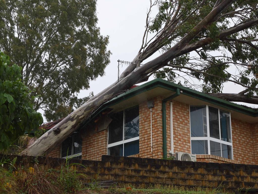 A tree that crashed through a home in Edens Landing. No one in the house was injured. Picture: NewsWire/Tertius Pickard