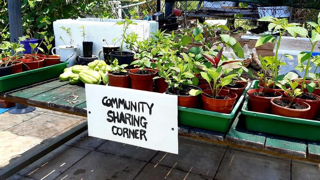 Lismore Community Garden.