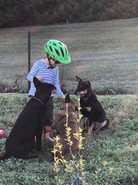 Aj Vickery sent in this gorgeous shot of true friendship at Truelight Farm. Picture: Supplied