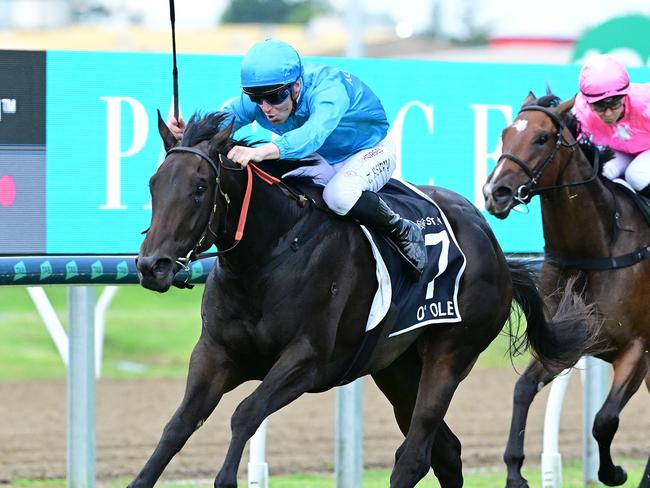 Jockey Tommy Berry riding No.7  O'ole to win the Magic Millions Classic, Gold Coast - Photo MUST CREDIT - Trackside Photography