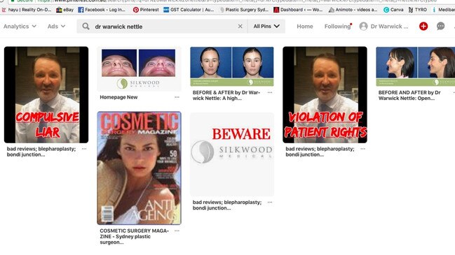 Catherine Cruse set up dozens of fake accounts, like this Pinterest page, to attack Dr Nettle.