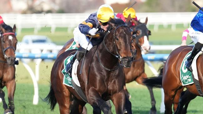 Arkansaw Kid can make it back-to-back wins as a gelding. Picture: Scott Barbour/Racing Photos via Getty Images