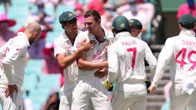 Josh Hazlewood celebrates his epic runout.