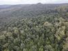 Logging plan to reignite forest war