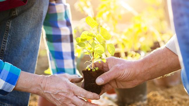 Carbon farming could be a key role in reaching net-zero emissions for agriculture.