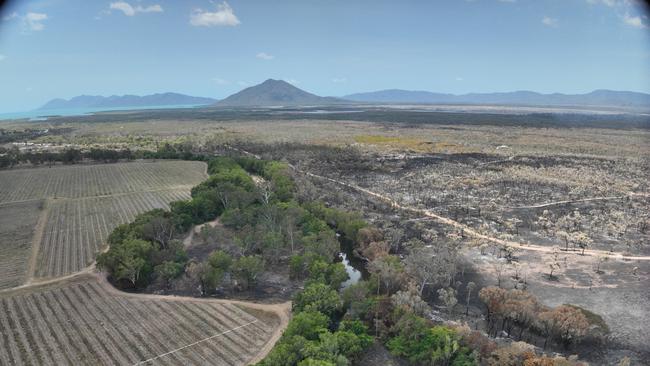 A grass fire that started south of a famous agave farm was stopped at the creek as firefighter and volunteers battled the fire via backburning. Picture: Contributed