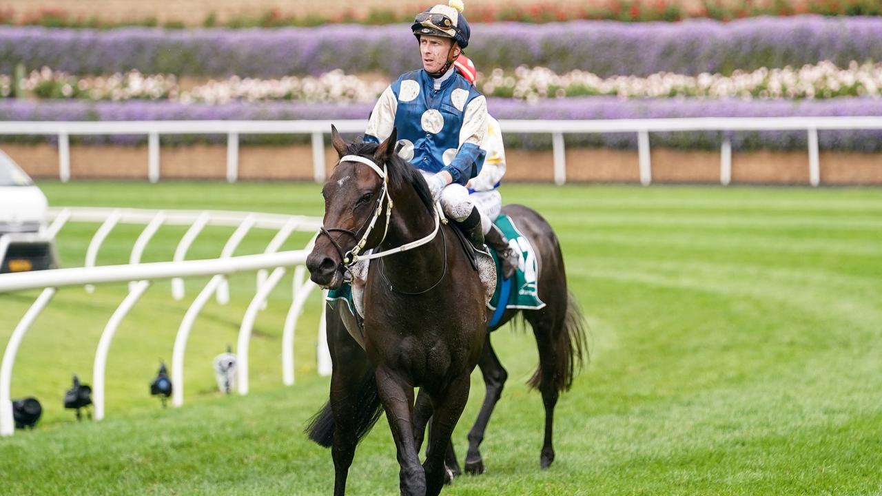 Forgot You is a favourite for the Victoria Derby. (Scott Barbour/Racing Photos via Getty Images)