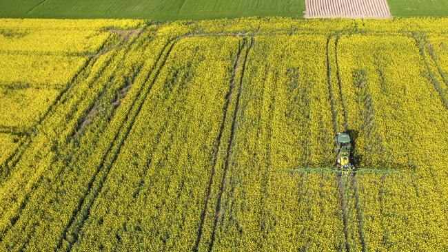 Nufarm’s Seed Technologies business sells seeds to farmers for crops such as canola but its omega-3 seeds business that can be used for bio-fuels or for dietary purposes is considered its growth platform. Picture: iStock
