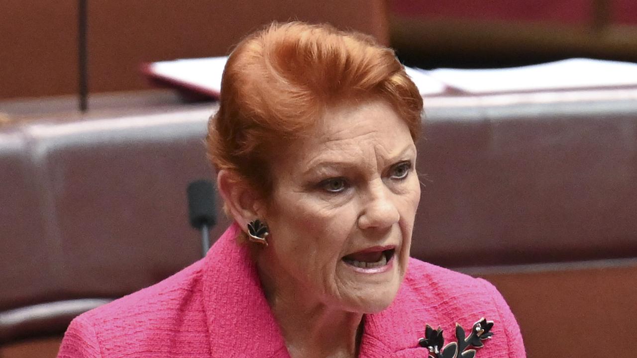 Pauline Hanson is urging voters to put Labor and the Greens last. Picture: NewsWire/Martin Ollman