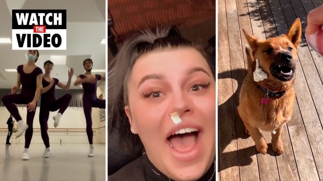 Five Aussie videos that blew up TikTok this year