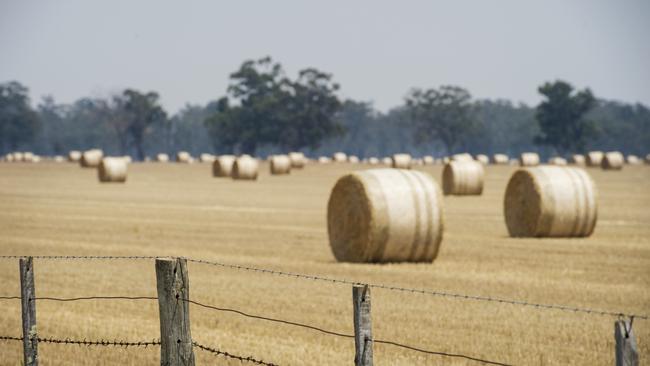 Farmland purchases are driving up debt in the agriculture sector. Picture: Zoe Phillips