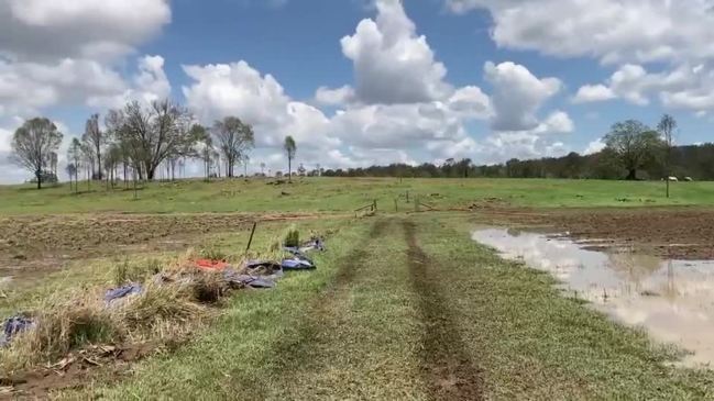 Sugar cane crops wiped out after Miva storm