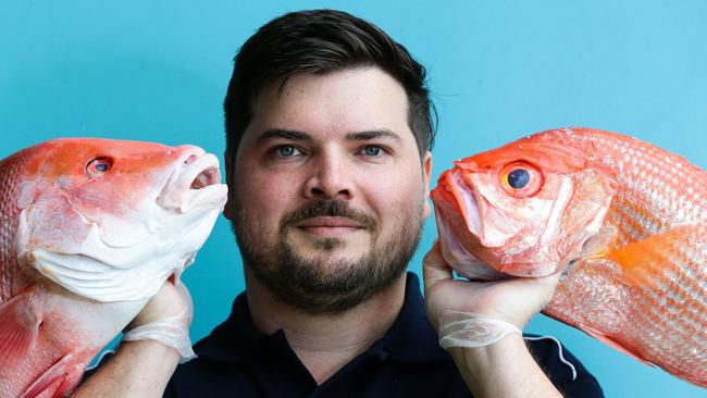 Alex Stollznow at the Sydney Fish Market. Picture: Gaye Gerard