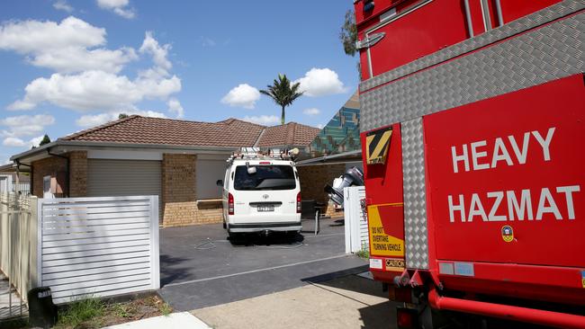 An AFP detection dog was also involved in the operation at Hinchinbrook. Picture: Jonathan Ng