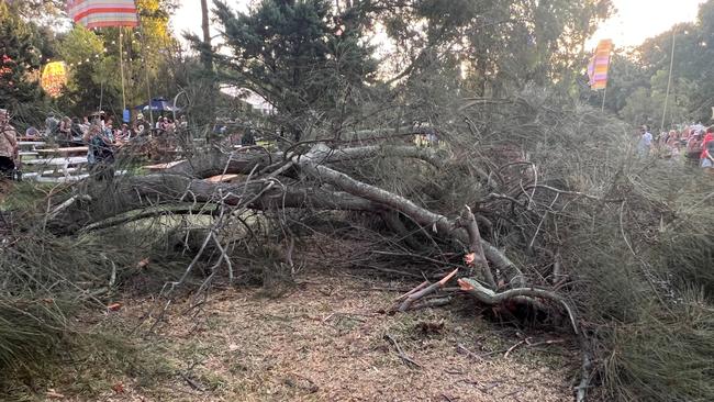 A large tree branch has fallen at WOMADelaide, injuring multiple people. Picture: Rod Savage