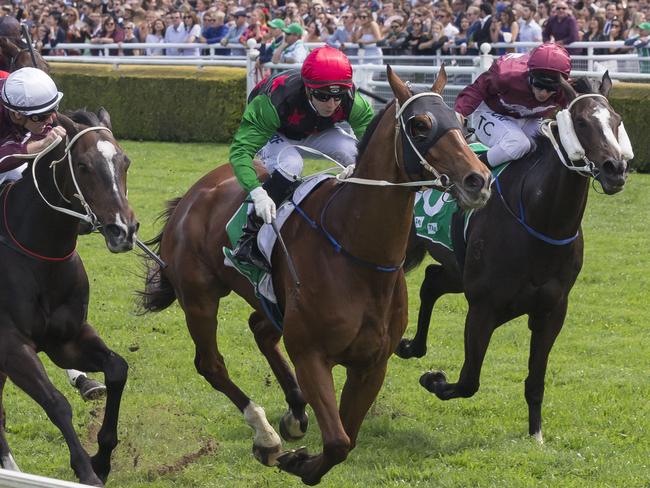 The Matthew Dunn-trained Bronzed Venom wins at Randwick last Saturday. Picture: AAP