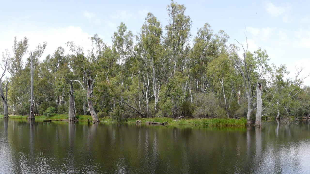 Farmers, environment groups and even Victorian Government ministers are among those with riverside-camping concerns.