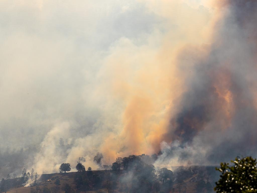 Coast Fireys warn of bumper bush fire season with dry conditions and ...