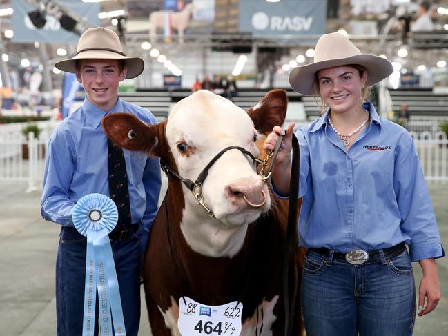 Question 20: Royal Melbourne Show cattle judging. Picture: Andy Rogers