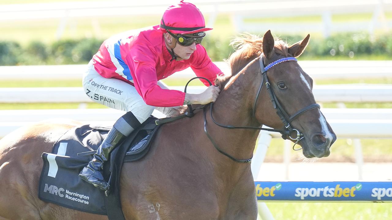 Benagil is a filly to follow looking to the remainder of the three-year-old season. Photo: Scott Barbour/Getty Images.