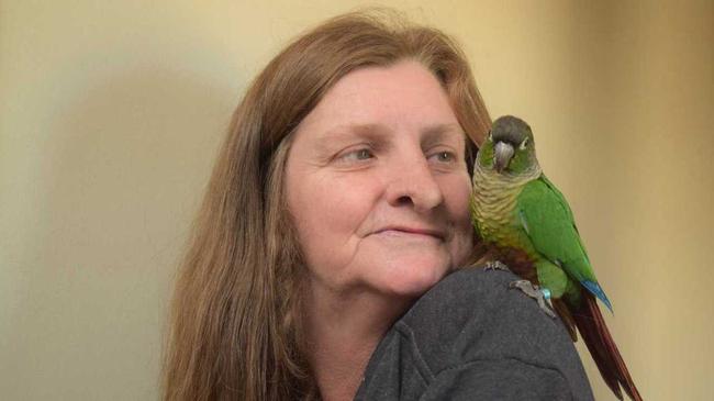 REUNITED: Janice Robins with her pet bird Lollie who miraculously made it home after being stolen along with three of Janice's other birds two months ago. . Picture: Kate McCormack