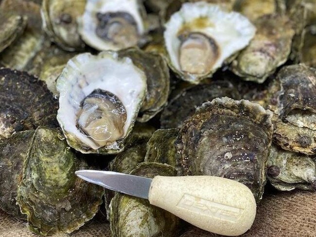 Go hunting for oysters on the Central Coast.