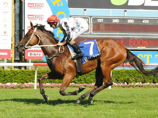 Jockey Luke Rolls rode the Mel Eggleston-trained All Over Bosanova to victory in the Class 2 Handicap (1100m) on the Gold Coast on Saturday, January 28. Picture credit: Grant Peters, Trackside Photography.