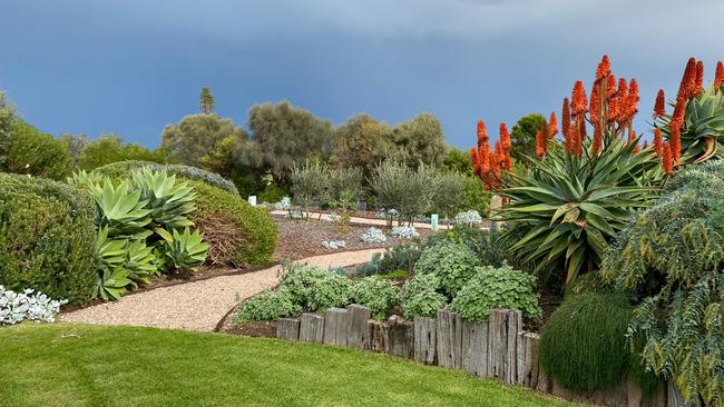 Her earliest plantings were windbreaks of casuarinas, melaleucas, acacias and carobs.