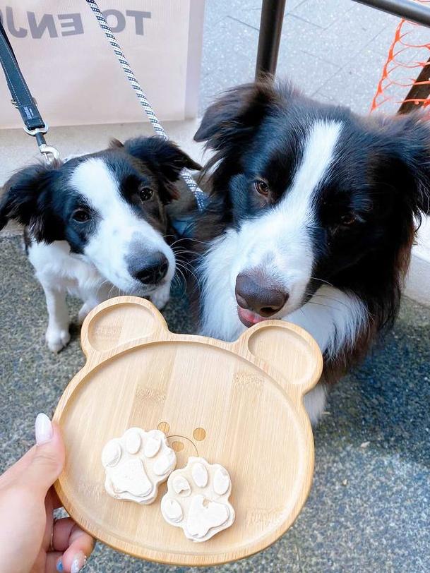 The Pawfect Cafe’s puppy treats. Picture: Supplied