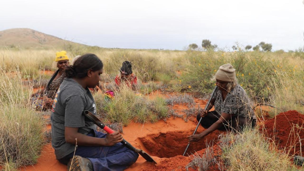 Gigantic new Indigenous protected area not just about conservation