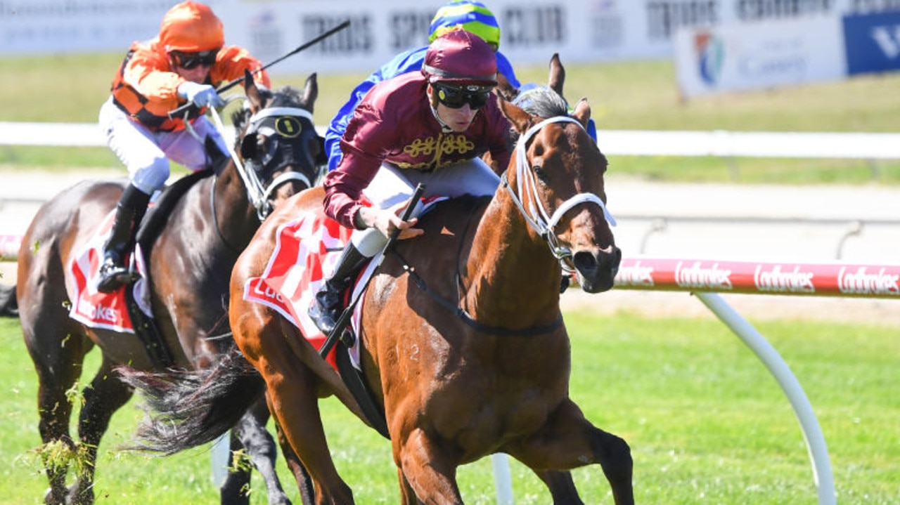 Climbing Star won the Robert Sangster Stakes at Morphettville on Saturday. Photo: Pat Scala/Getty Images.
