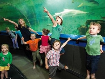 Manly Sea Life Sanctuary was a popular spot during the school holidays. Picture: Stock