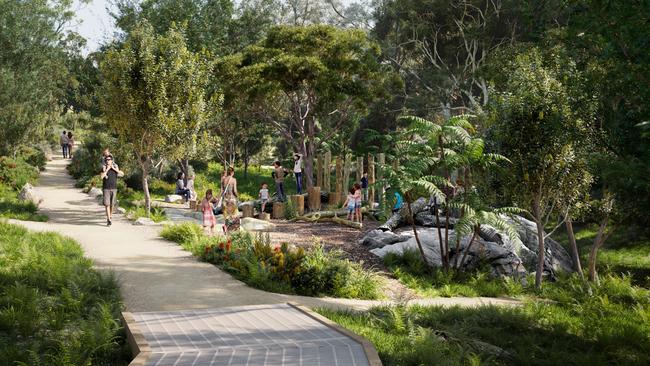 An artist's impression of one of the nature walkways within Nandi Reserve, Frenchs Forest. Picture: NSW Government