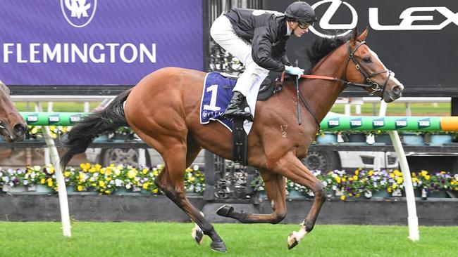 Highvol will be heading north to tackle a Group 1 target next month. Picture: Racing Photos
