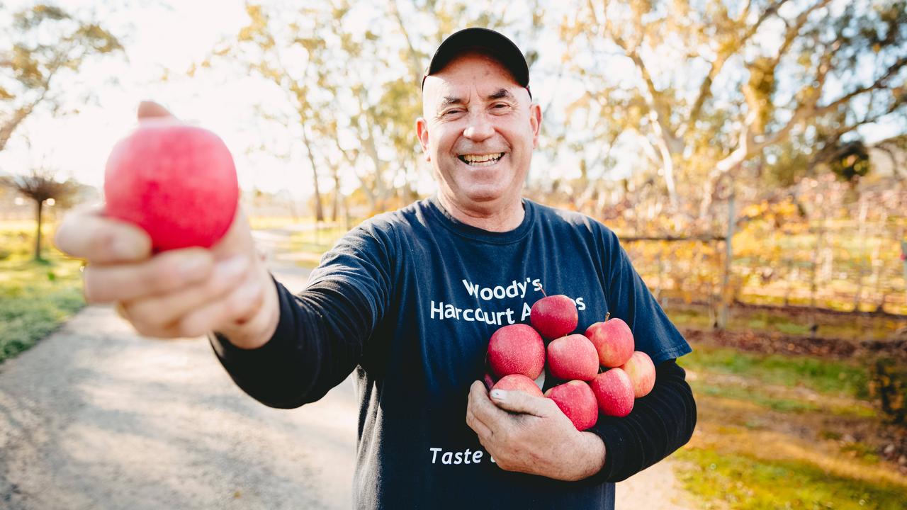 Harcourt apple grower finishes season with a healthy crop The Weekly