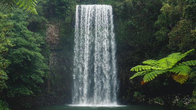 Millaa Millaa Falls is a popular waterhole in Far North Queensland.