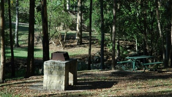 Council is phasing out its wood barbecues.