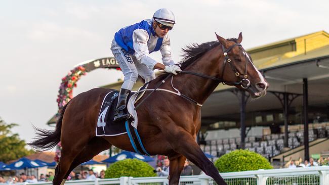 Enterprise Prince hasn’t won for a while but is racing well. Picture: AAP