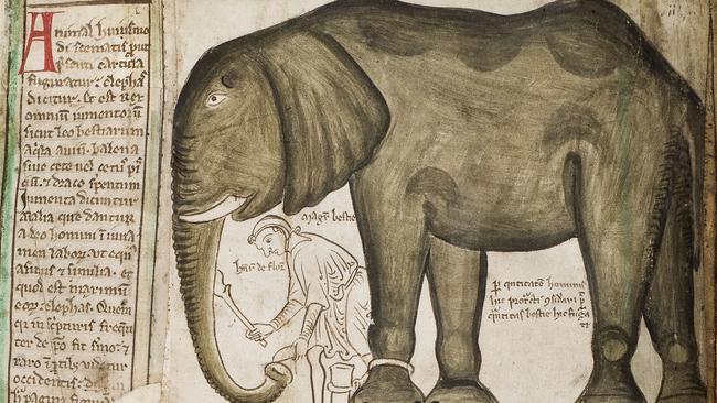 A medieval illustration of the elephant in the Tower of London with its keeper.