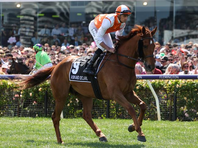 Vow And Declare, ridden by Billy Egan, on the way to the barriers for the 2023 Melbourne Cup. Picture: George Sal/Racing Photos via Getty Images