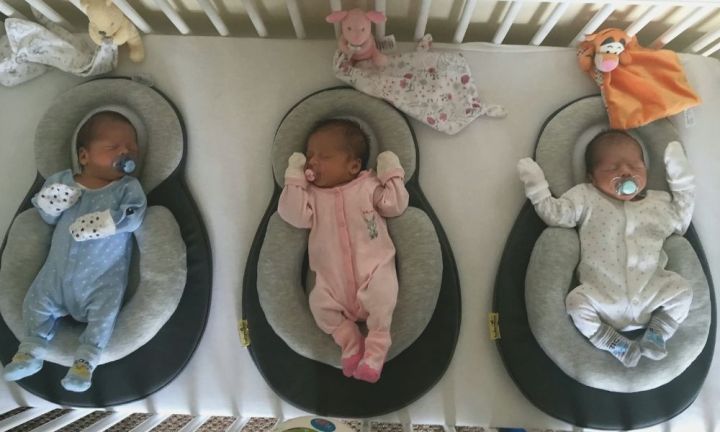 Cribs for triplets babies online