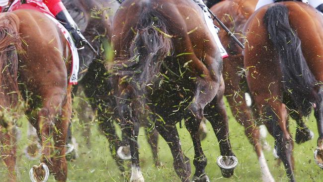 Brad Rawiller and Brian Higgins have been injured in a fall at Cranbourne.