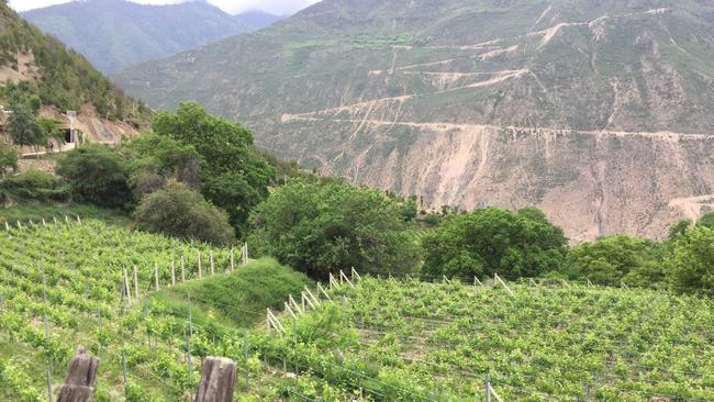 While Penfolds is a premium-priced wine, TWE plans to start the Chinese-made wine at an “entry level” price.