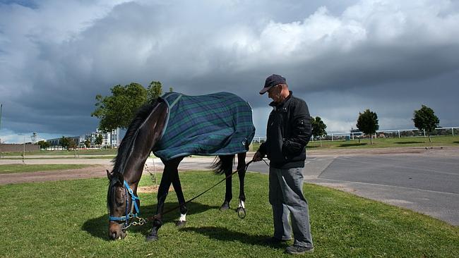 Fiorente with foreman Roger Elliot at Flemington this week. Picture: Getty Images