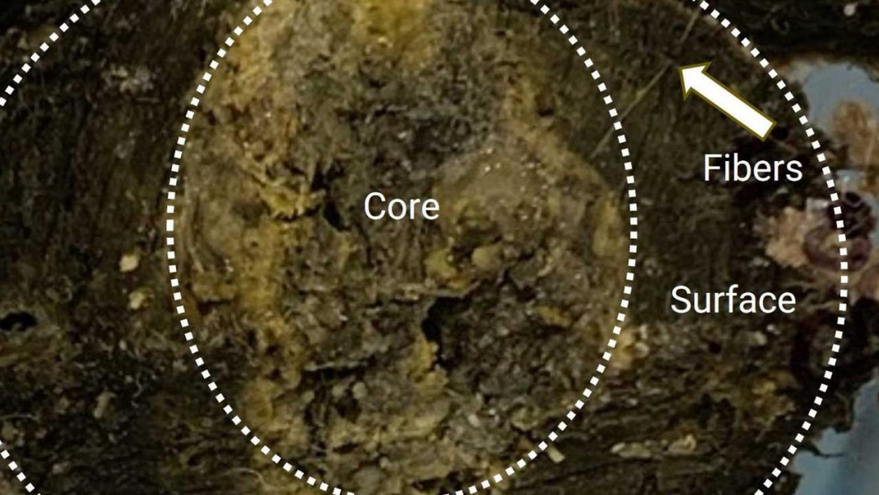 The material was composed of a complex mixture of fats, oils, calcium and other metals – almost similar to a ‘fatberg’. Picture: Supplied