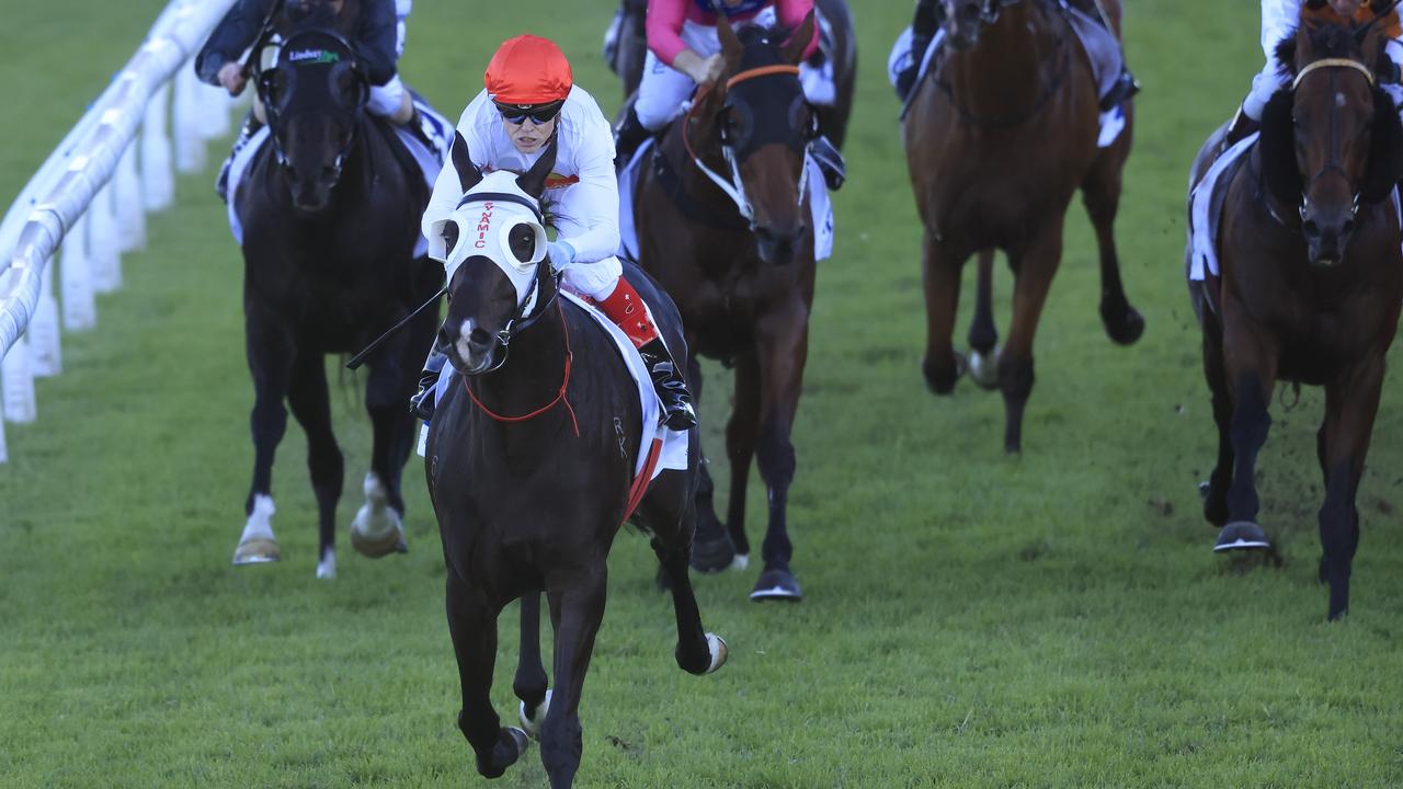 Sydney Racing: Stakes Day